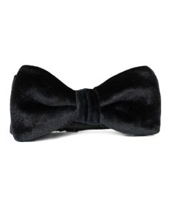Kennedy Blue Accessories Velvet Bow Tie